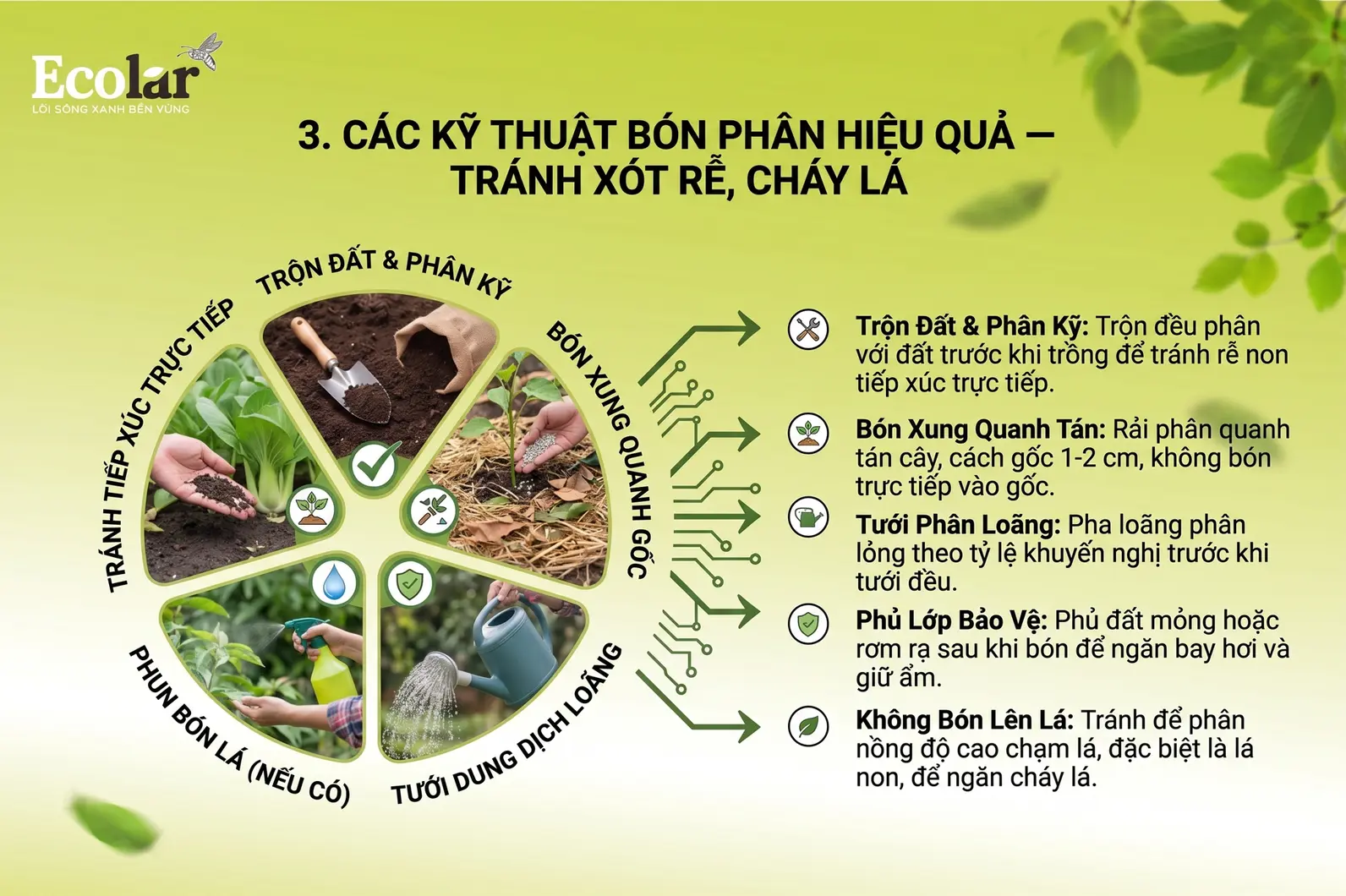 on-phan-hieu-qua-tranh-xot-re-chay-la_cd53fac059c64a00a26cc0fb43da17fc.webp