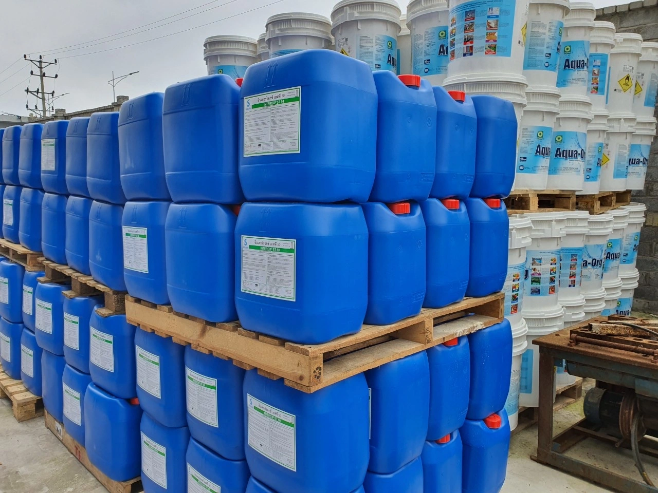 ^^^^^^^^Oxy già.webp