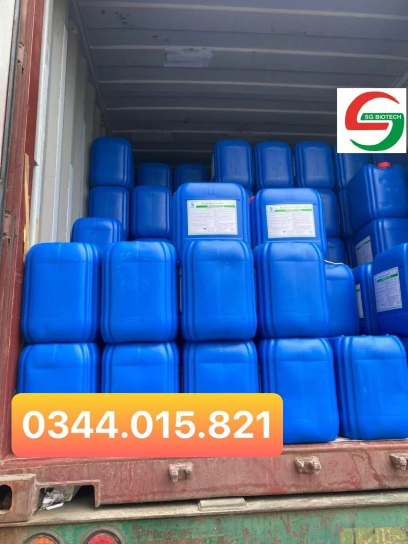 ^^^^^^^^oxy già..webp