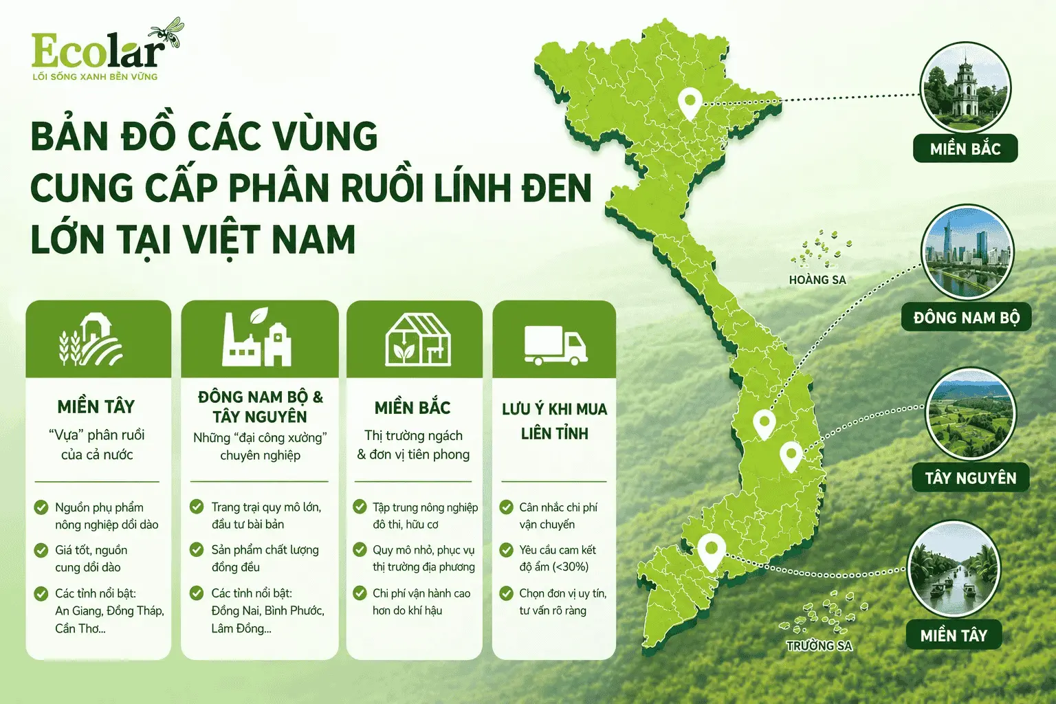 p-phan-ruoi-linh-den-lon-tai-viet-nam_d632513c2b4e44c7a46942638be491eb (1).webp