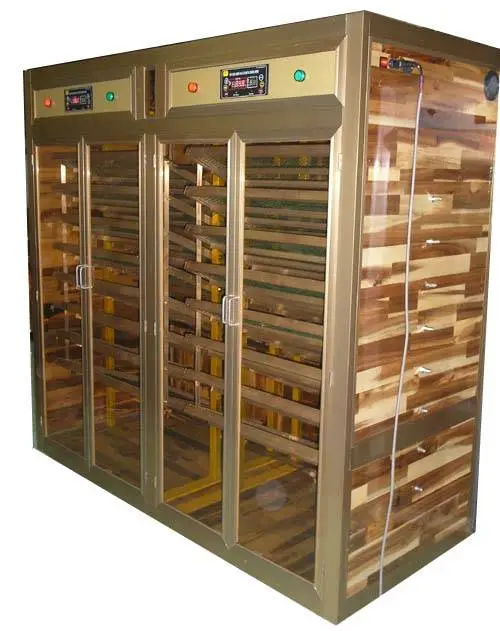 P1010220may 3000t.webp