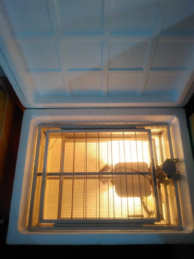 P_20180201_165251 - Copy.webp