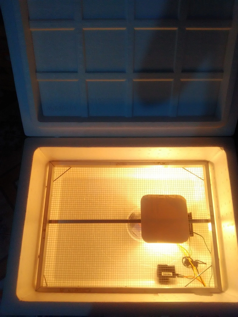 P_20180201_165514 - Copy.webp