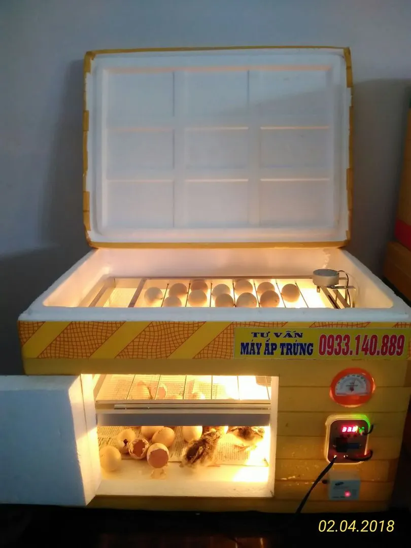 P_20180204_120112_1_p - Copy.webp