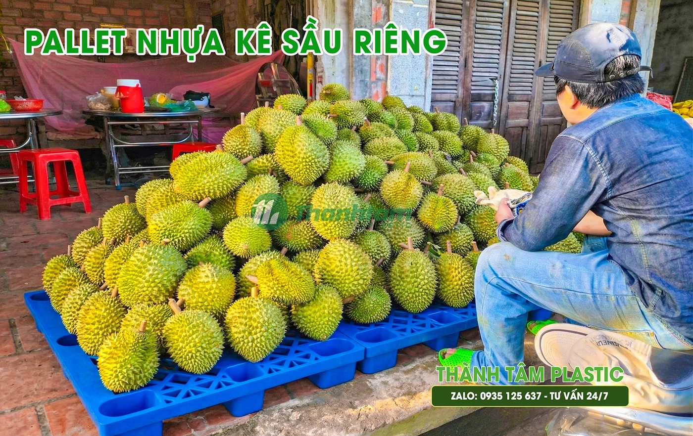 pallet-ke-sau-rieng.webp