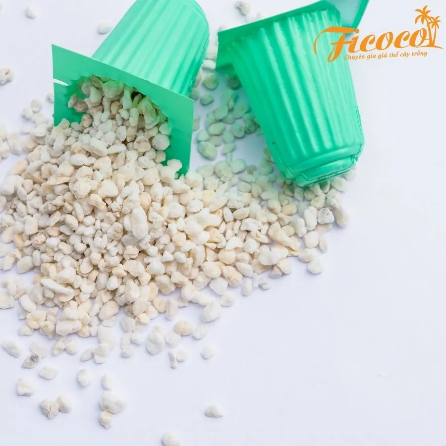 Perlite ficoco 2. 9.31.48 AM.webp