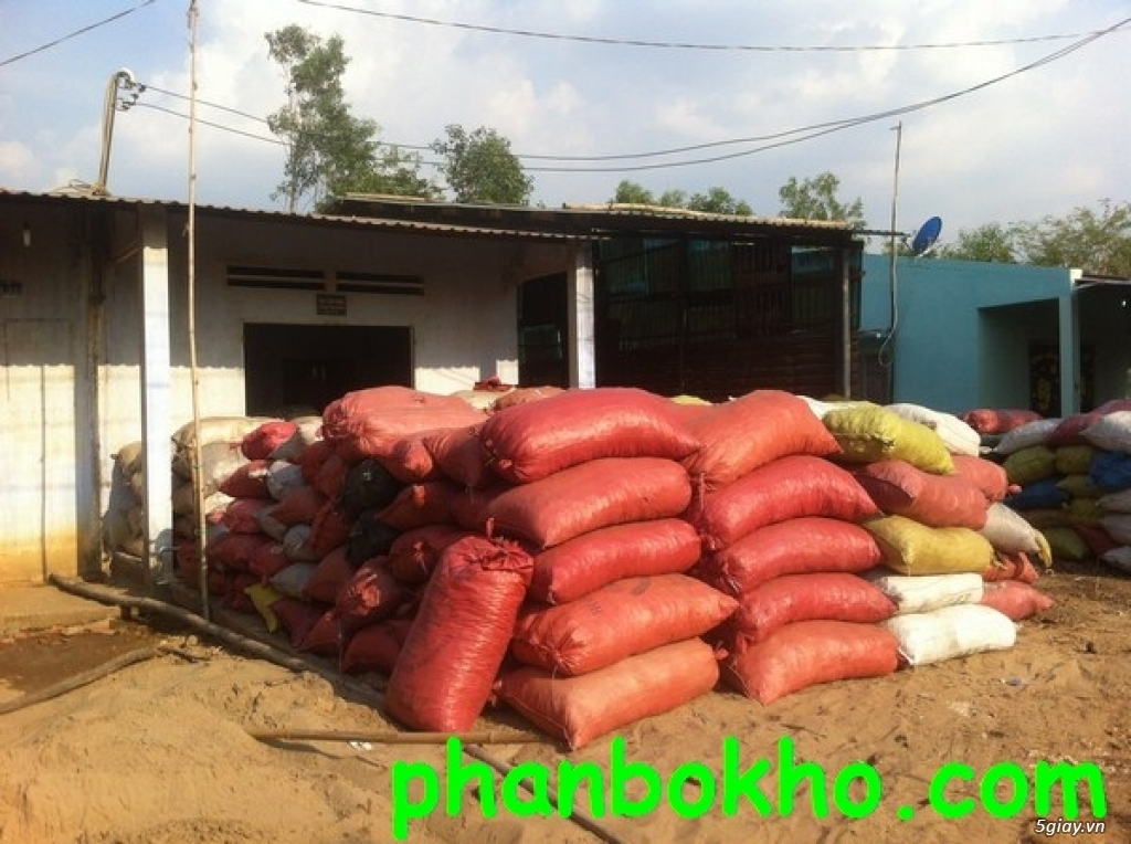 PHAN BO KHO GIA RE.jpg