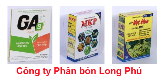 phan bon dang bot.webp