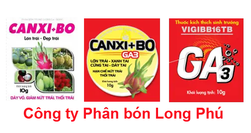 phan bon dang vien.webp