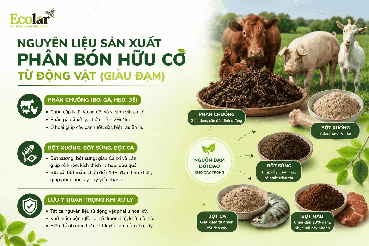 -phan-bon-huu-co-tu-dong-vat-giau-dam_fd0b33cd65b04d998eb6ed22eb44b2a9 (1).webp