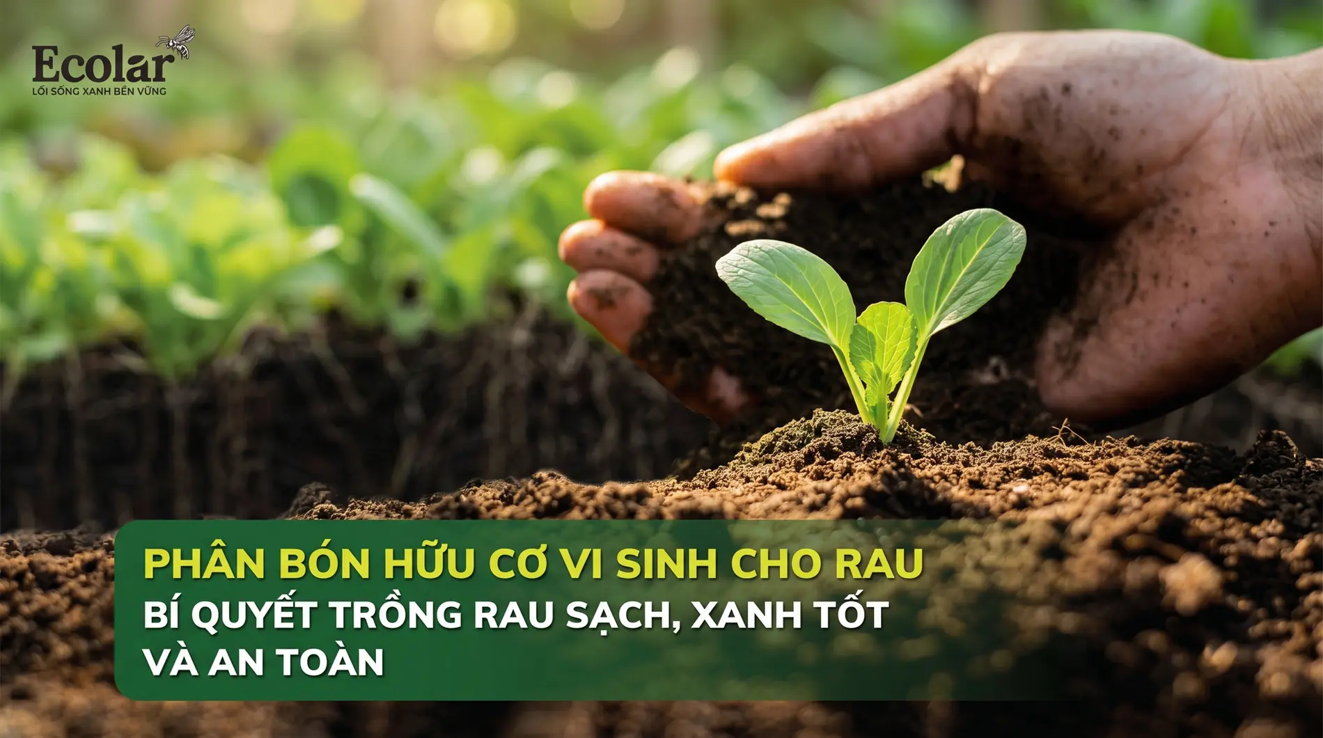 phan-bon-huu-co-vi-sinh-cho-rau-cach-chon-dung_32ba61dc03734c1cbfdc3bc1c0c40c4d.webp