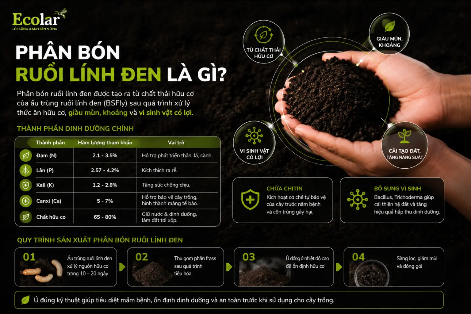 phan-bon-ruoi-linh-den-la-gi_8ad38eb2002f473f897d3d4ef05fe0ba.webp