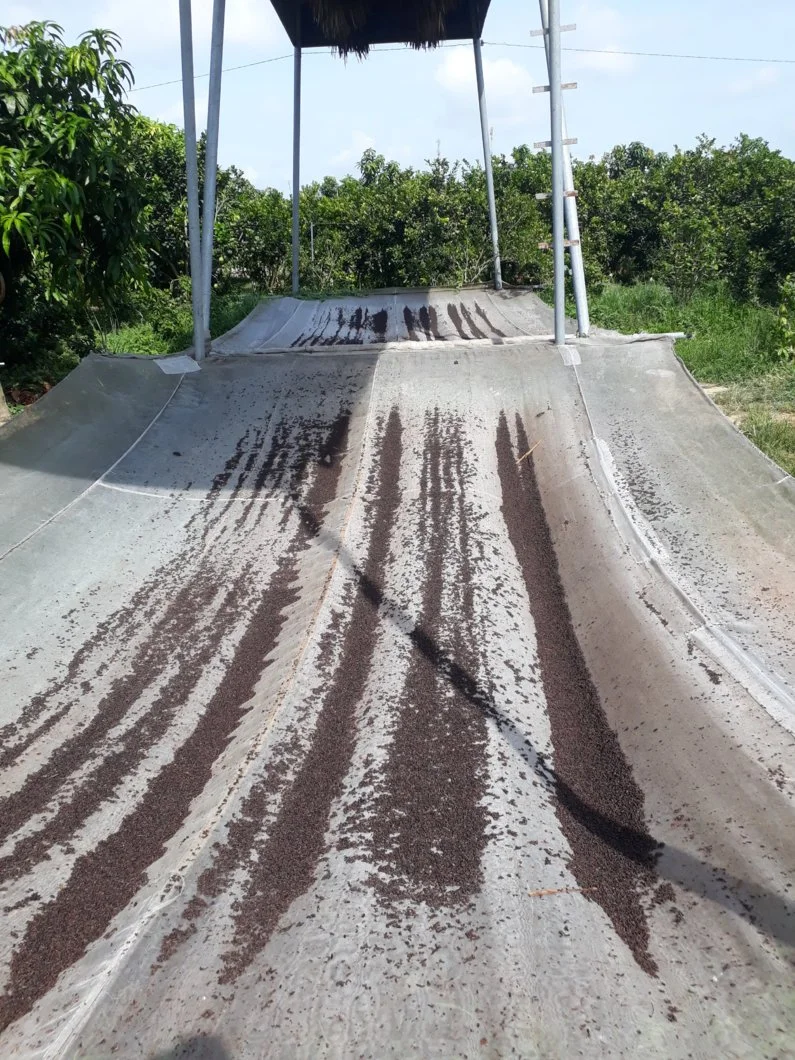 Phân dơi 6-min.webp