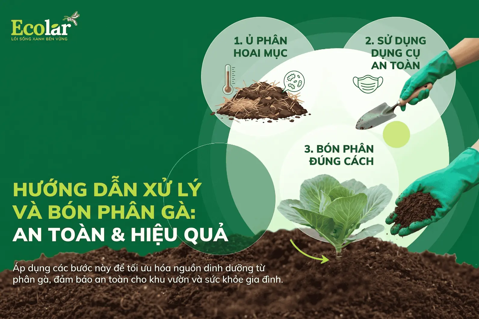 phan-ga-an-toan-hieu-qua-cho-vuon-rau_435c0af4a5344d03a9849866bb440a89 (1).webp