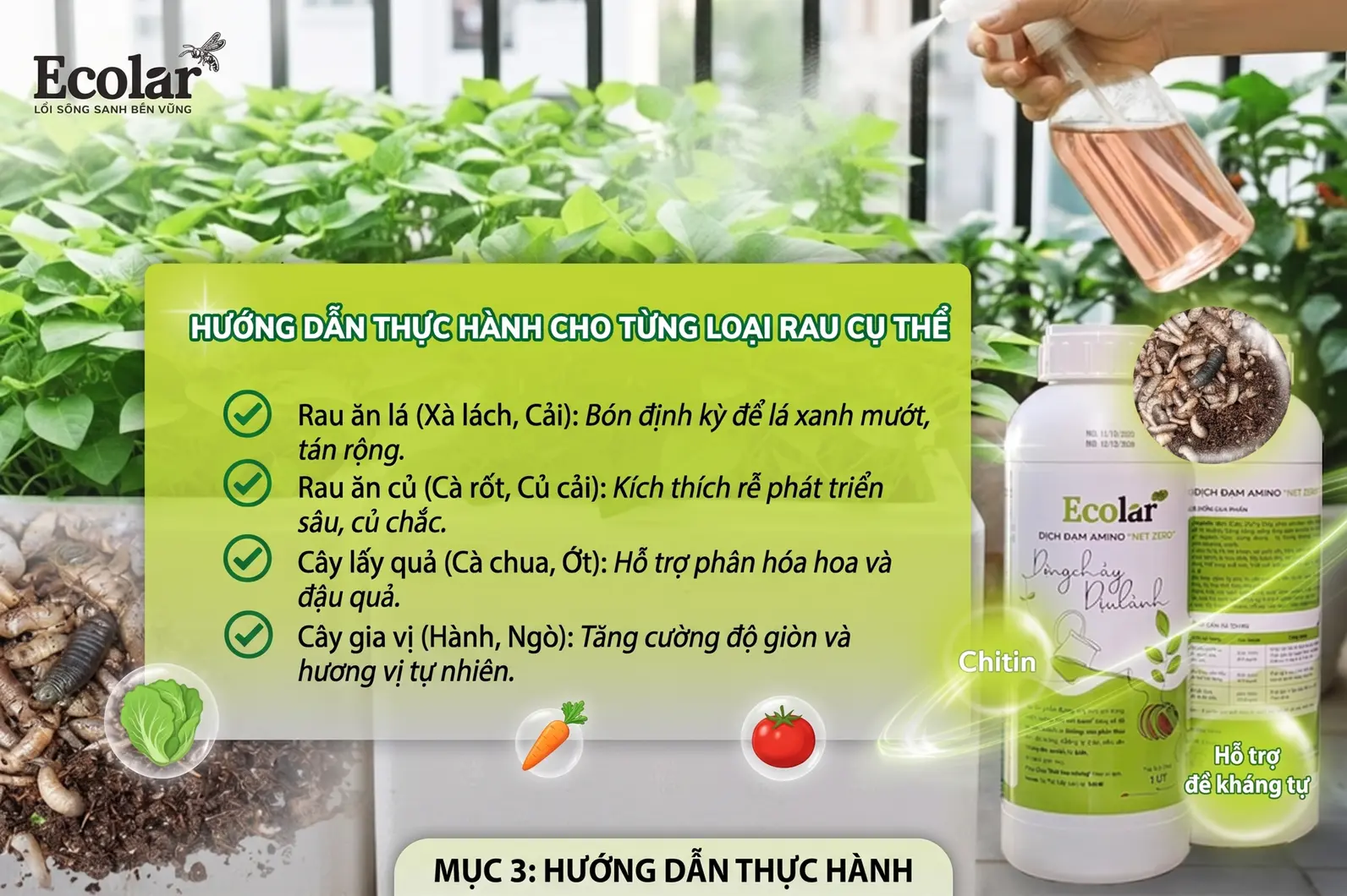 -phan-huu-co-cho-tung-loai-rau-cu-the_600f8c25c20046d7ae3a6475c92cbc59.webp