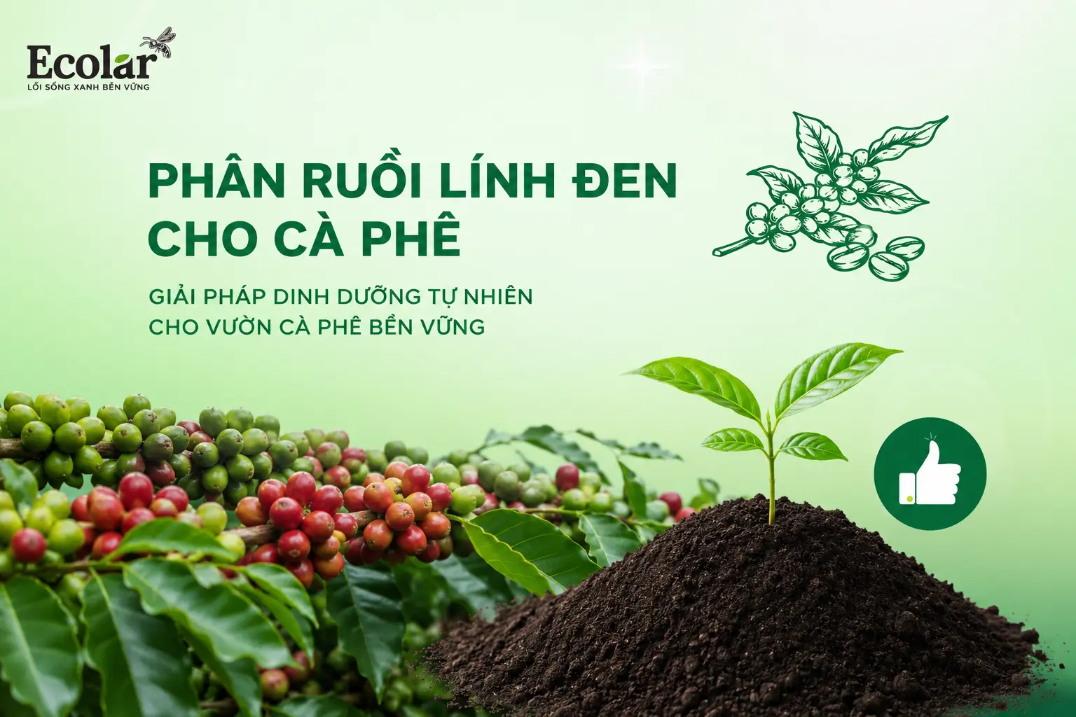 phan-ruoi-linh-den-cho-ca-phe-giai-phap-cai-tao-dat-bac-mau_8622c1e79c4949ab9f7eb480d24bde20.webp