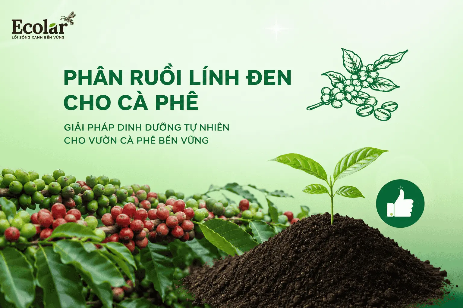 phan-ruoi-linh-den-cho-ca-phe-giai-phap-cai-tao-dat-bac-mau_8622c1e79c4949ab9f7eb480d24bde20 ...webp