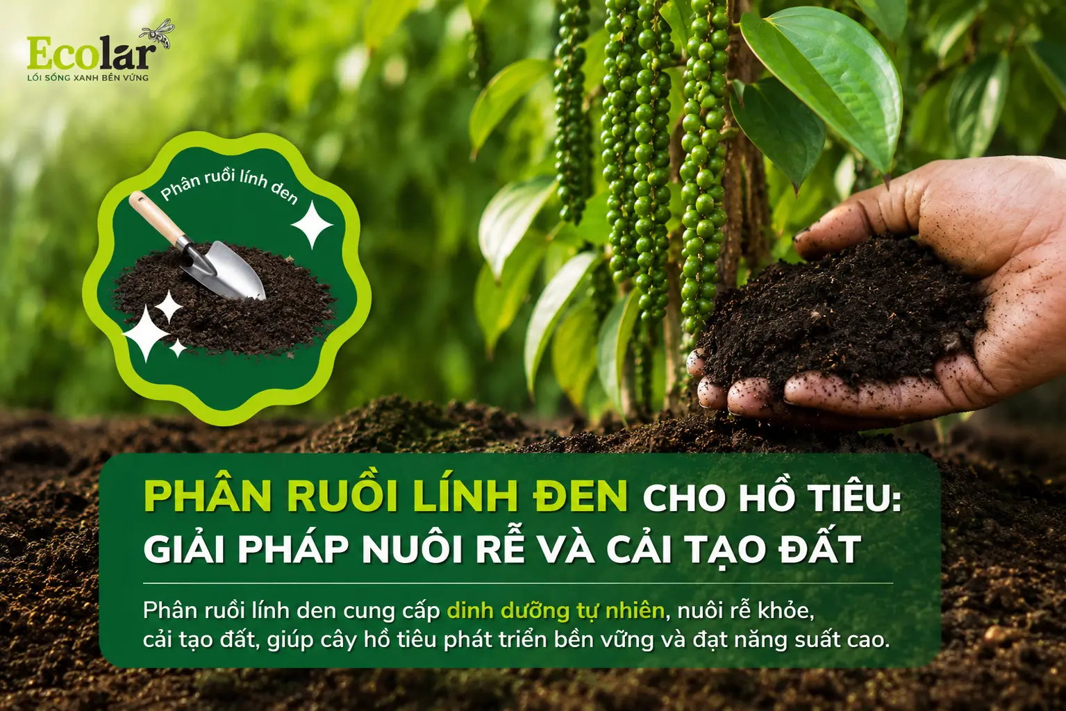 phan-ruoi-linh-den-cho-ho-tieu-giai-phap-nuoi-re-va-cai-tao-dat_348fc32258a440f0b26e49e131717...webp