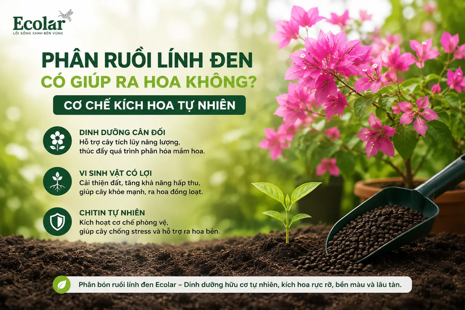 phan-ruoi-linh-den-co-giup-ra-hoa-khong-co-che-kich-hoa-tu-nhien_1cdea895111c4310b35780bd1675...webp