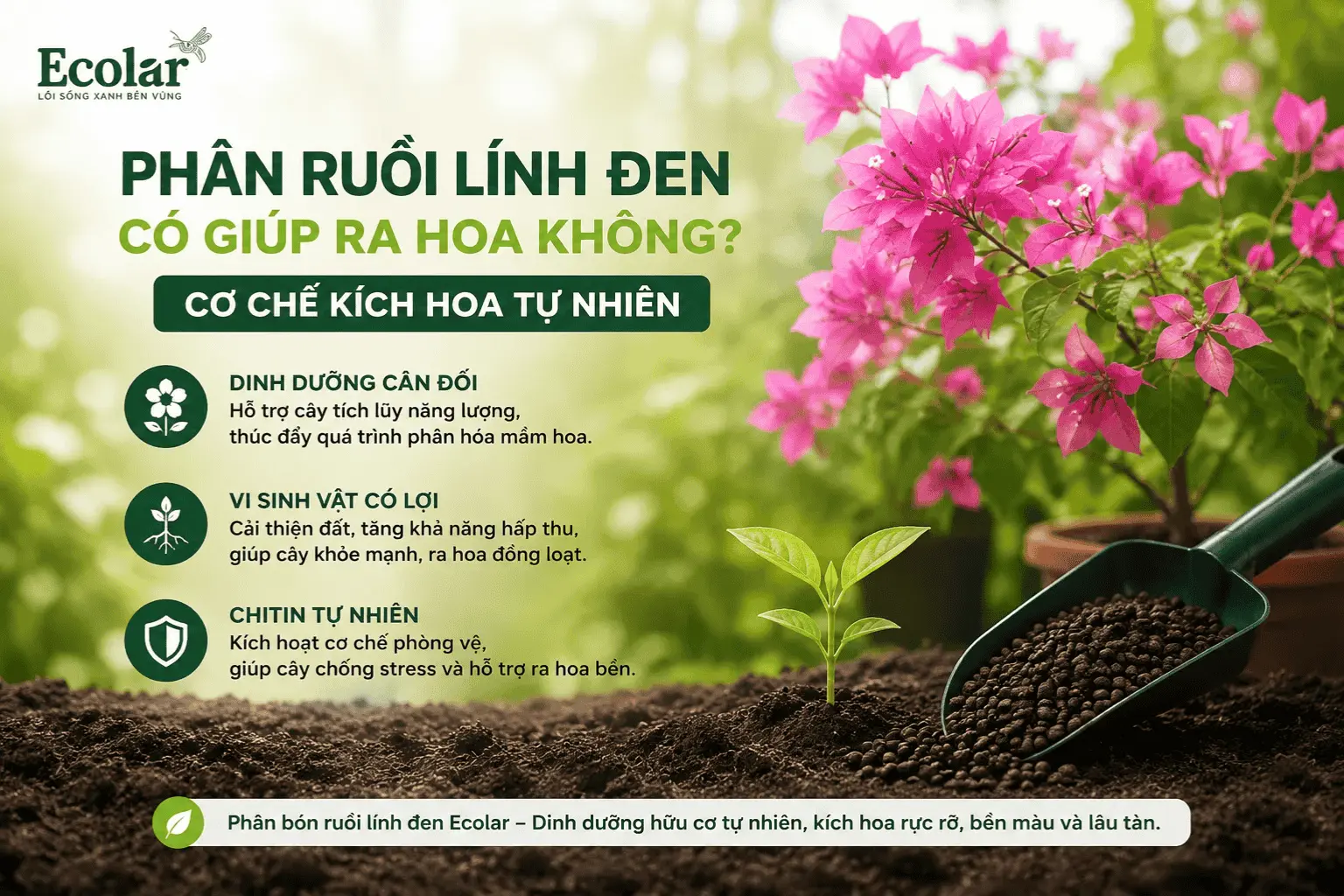 phan-ruoi-linh-den-co-giup-ra-hoa-khong-co-che-kich-hoa-tu-nhien_1cdea895111c4310b35780bd1675...webp