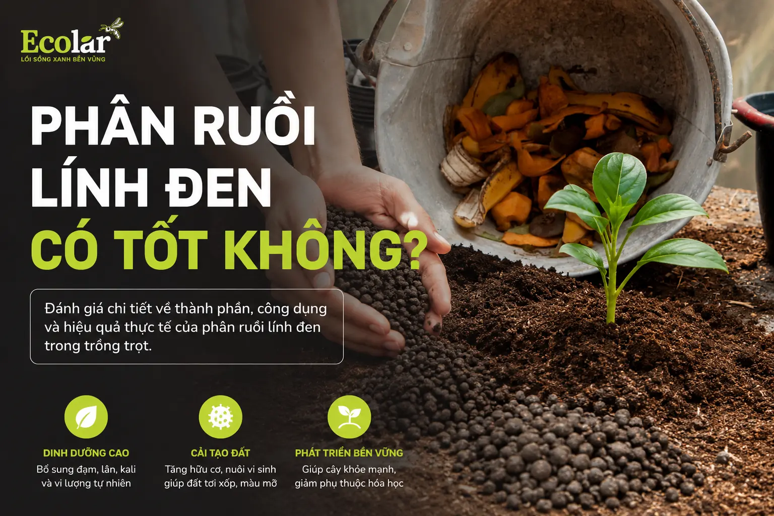 phan-ruoi-linh-den-co-tot-khong-uu-diem-va-thuc-te-su-dung_843bf8a3d8764ae28fb981fcbea84e33 (1).webp