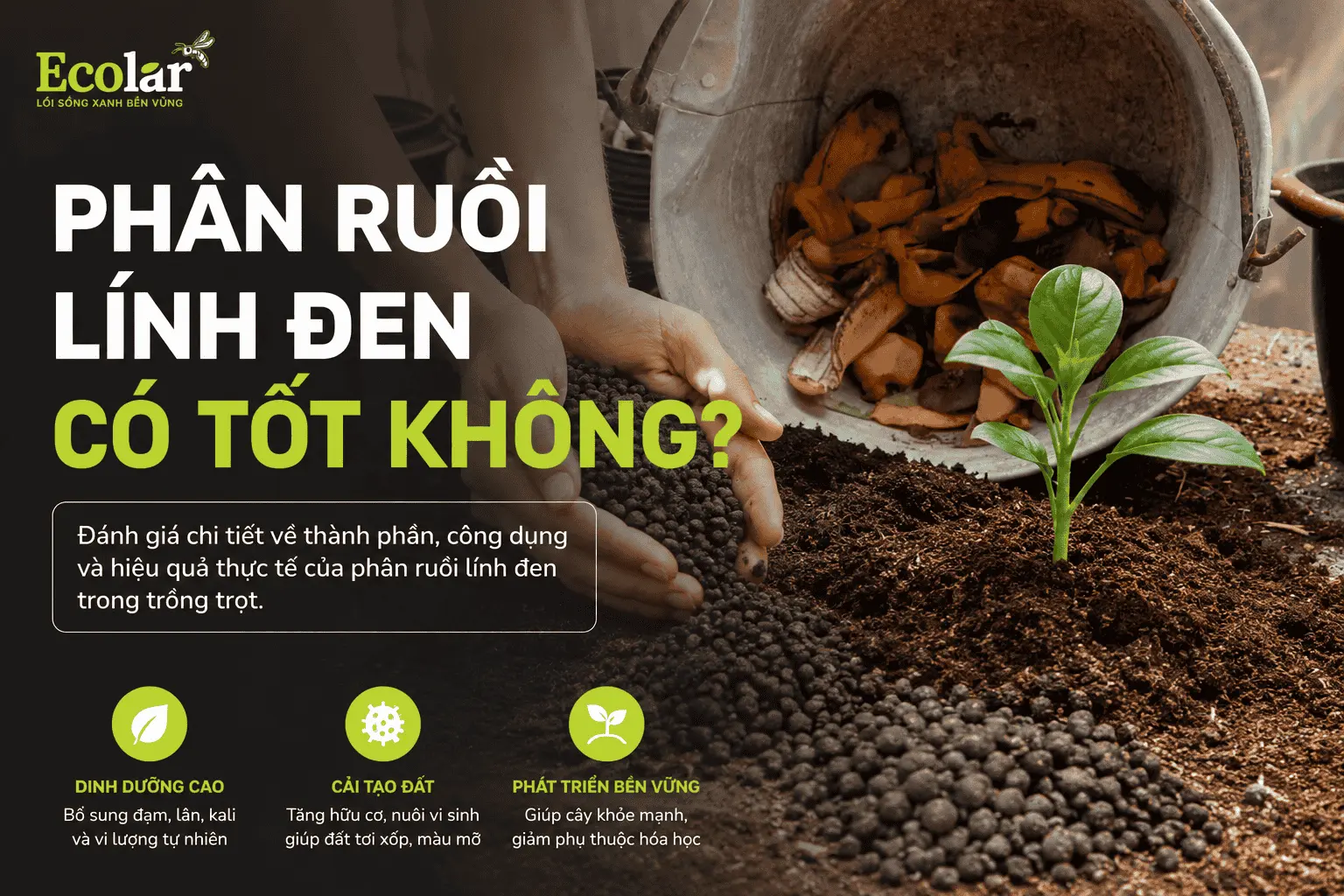 phan-ruoi-linh-den-co-tot-khong-uu-diem-va-thuc-te-su-dung_843bf8a3d8764ae28fb981fcbea84e33 (1).webp