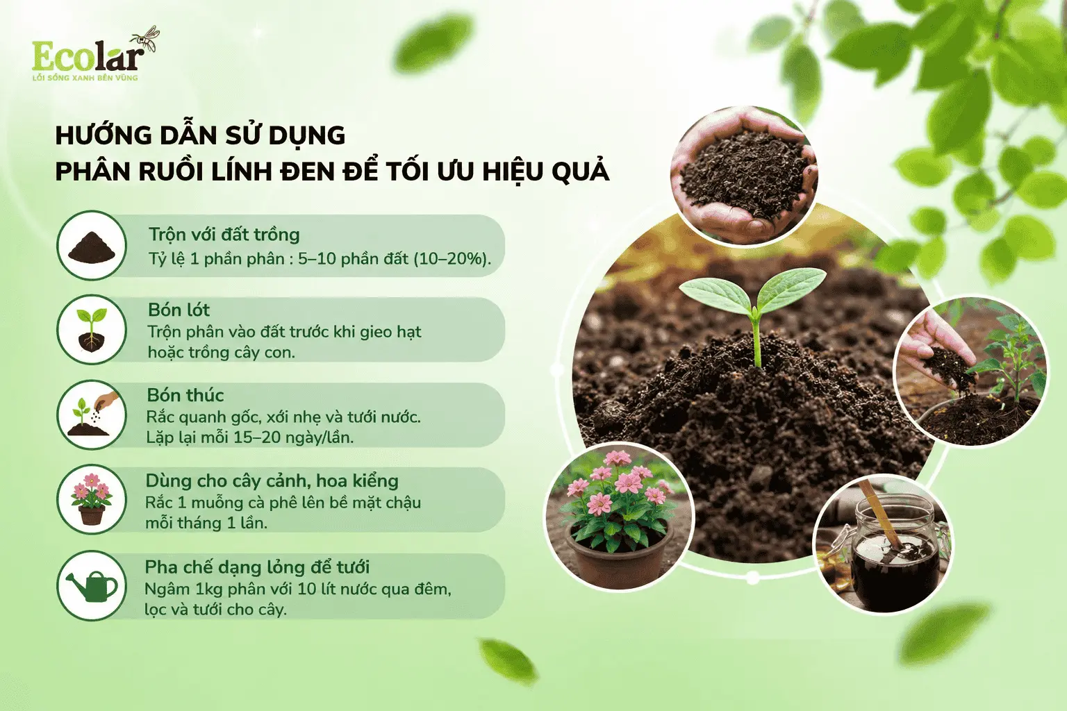 phan-ruoi-linh-den-de-toi-uu-hieu-qua_317039f403f24085b3ea272d033beee6 (1).webp