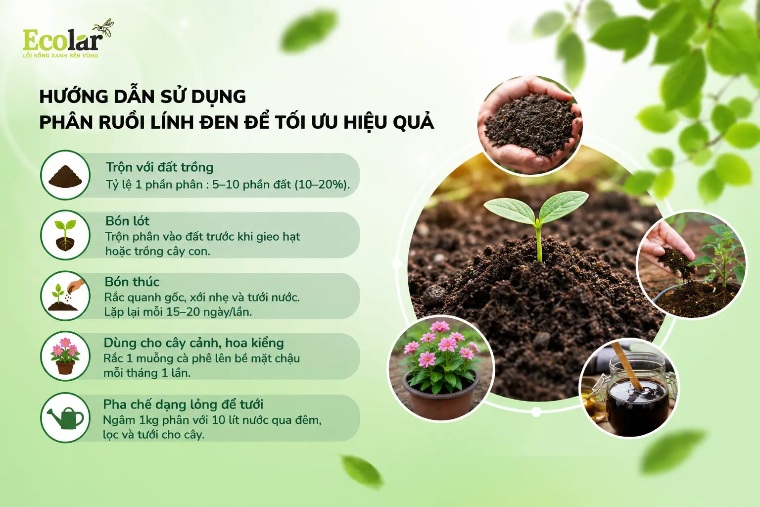phan-ruoi-linh-den-de-toi-uu-hieu-qua_317039f403f24085b3ea272d033beee6.webp