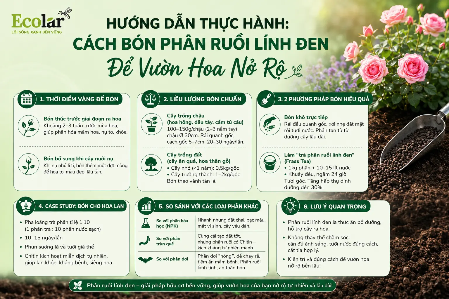 -phan-ruoi-linh-den-de-vuon-hoa-no-ro_3a8b8b2a7c764246a808653131fbcb60.webp