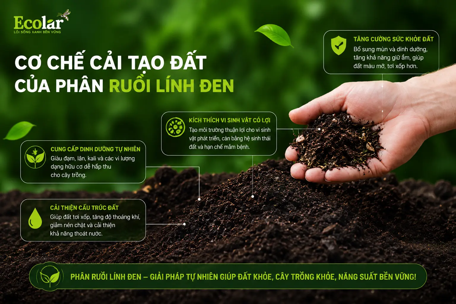 phan-ruoi-linh-den-giup-cai-tao-dat-va-nuoi-re-nhu-the-nao_bafbf260d9e7469c991ae88b7385ef37.webp