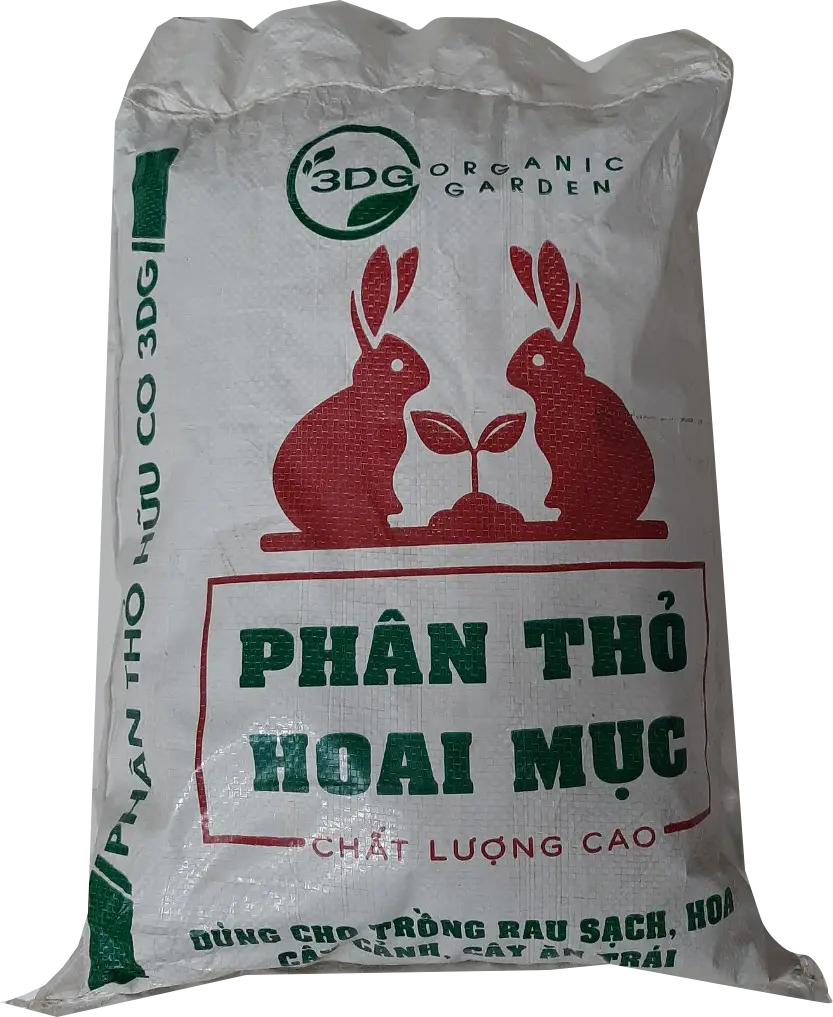 phan-tho-hoai-muc-3DG.webp