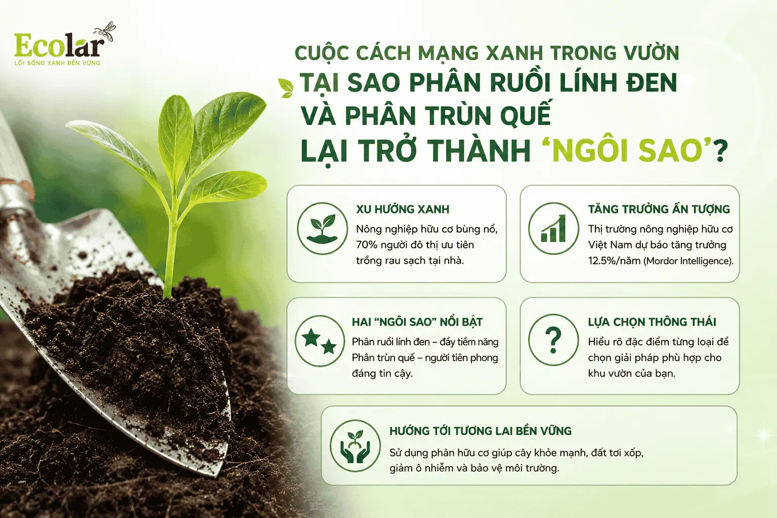 -phan-trun-que-lai-tro-thanh-ngoi-sao_8fdd848d17834928870bfb049913958c (1).webp