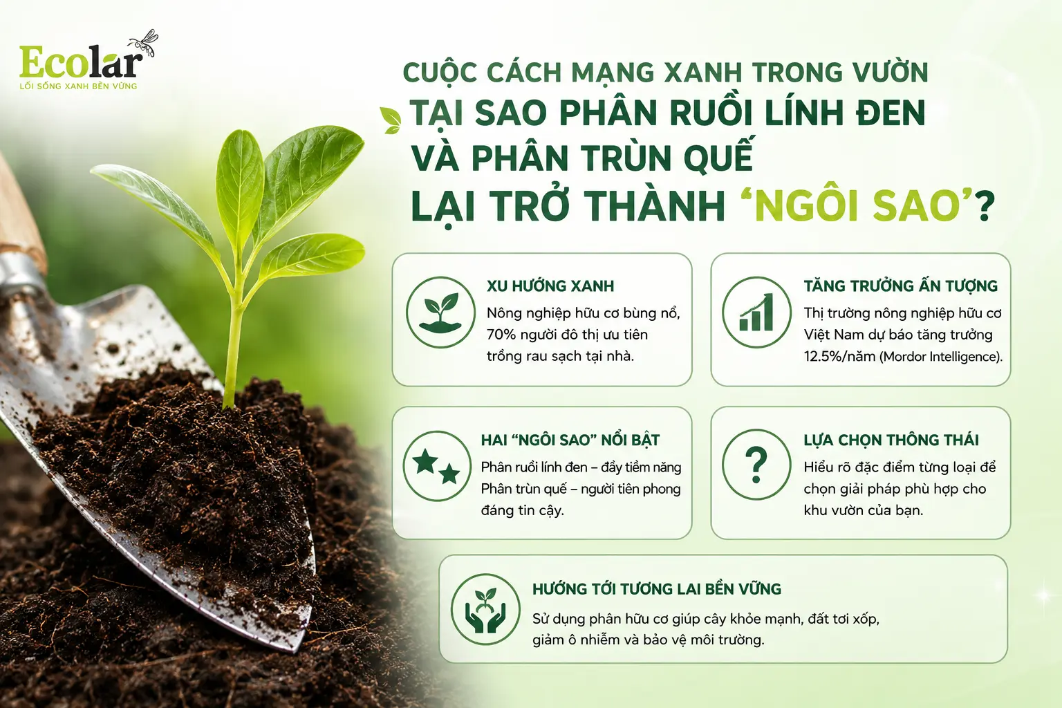 -phan-trun-que-lai-tro-thanh-ngoi-sao_8fdd848d17834928870bfb049913958c.webp