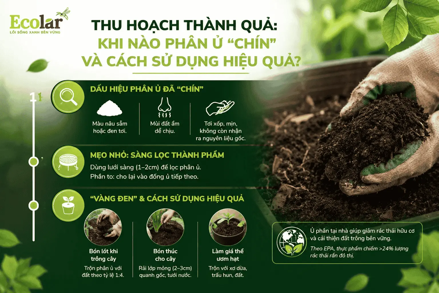 -phan-u-chin-va-cach-su-dung-hieu-qua_854a939c37744f8b8941f21db53bf155 (1).webp