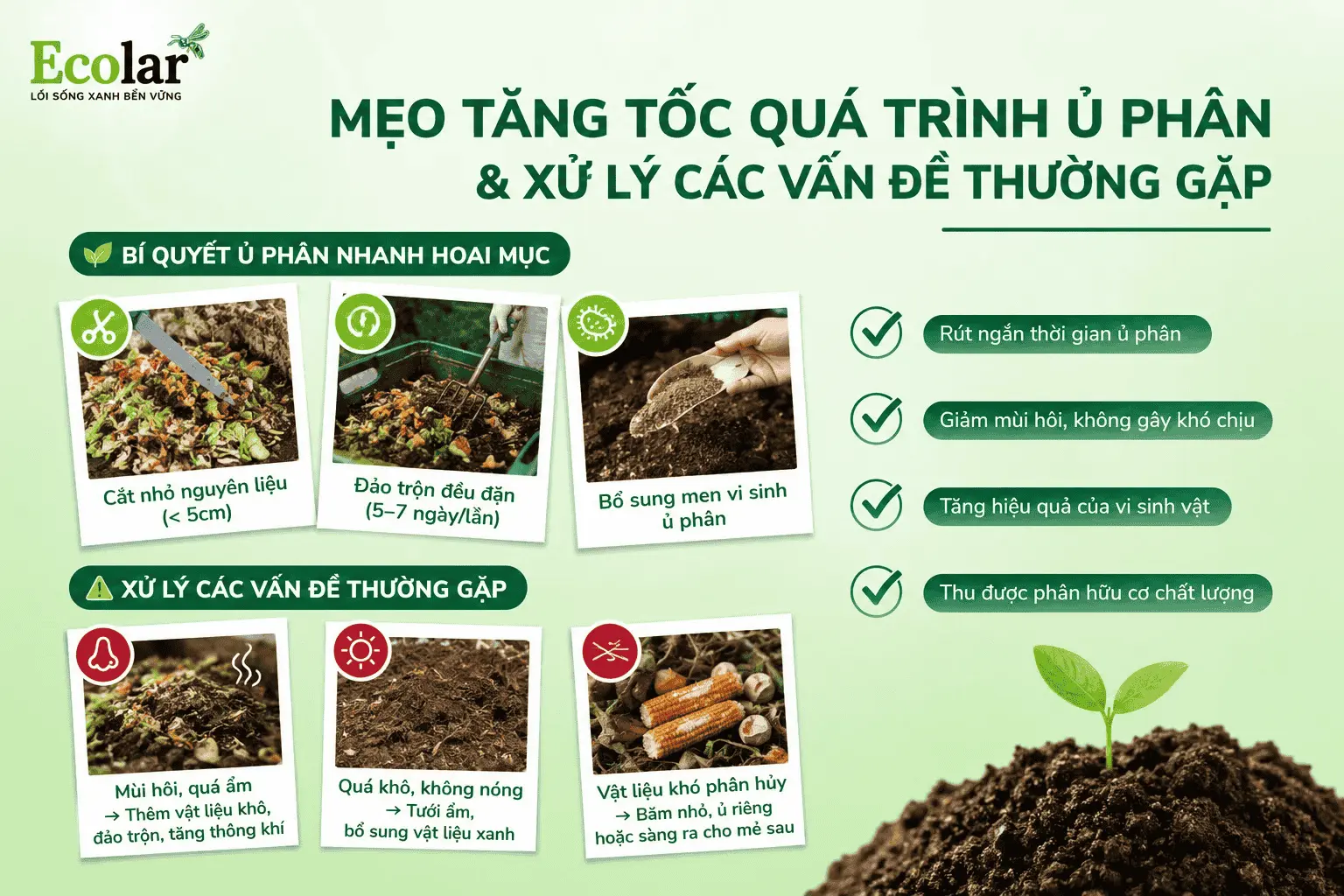 -phan-va-xu-ly-cac-van-de-thuong-gap__c57cb6d97fa74657af0f6a0be5541f3d (1).webp