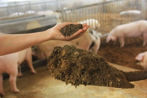 Tại sao không thu gom chất thải chăn nuôi làm phân vi sinh ?