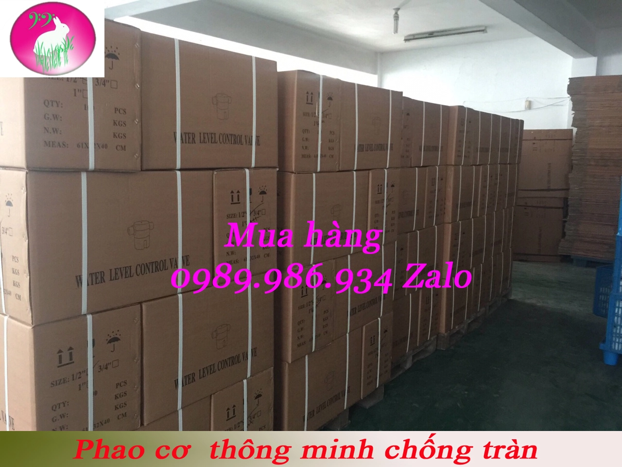 phao cơ thông minh.webp