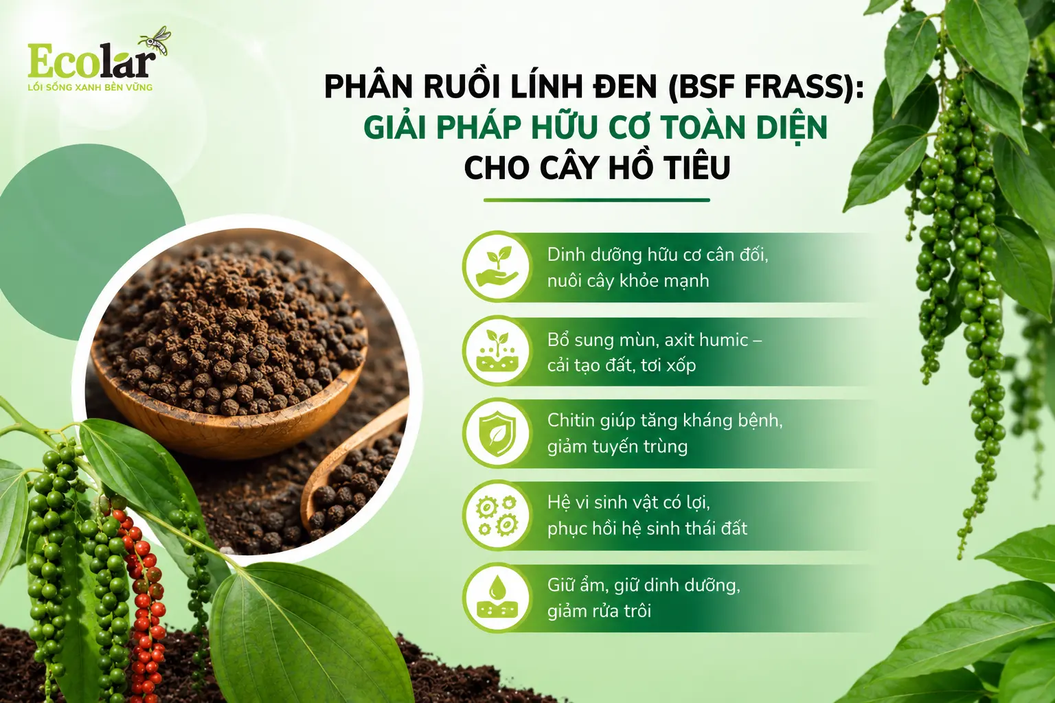 phap-huu-co-toan-dien-cho-cay-ho-tieu_e5f41666324e430bb83d14ecd79481b2.webp