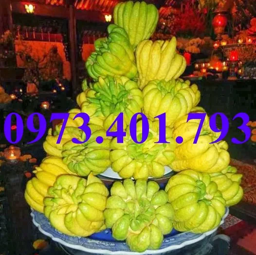 phat thu5_result.webp