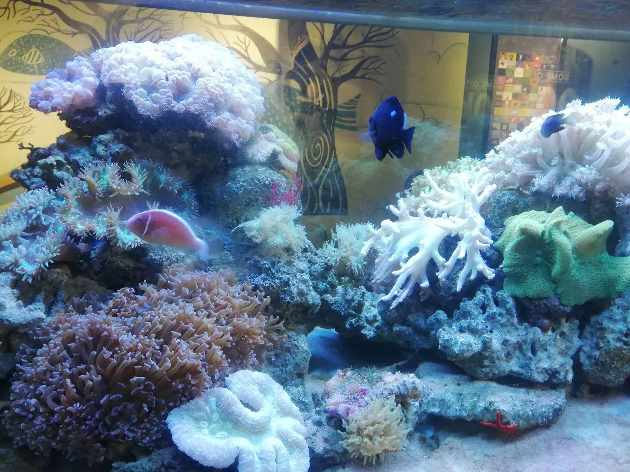 photo_2018-12-24_10-54-40 (2).webp