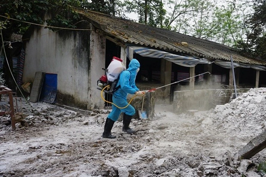 phun hóa chất phòng chống dịch tả lợn châu phi.webp