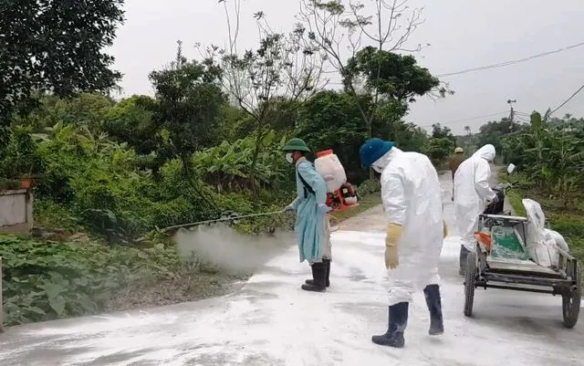 phun vôi bột khử trùng chuồng trại.webp