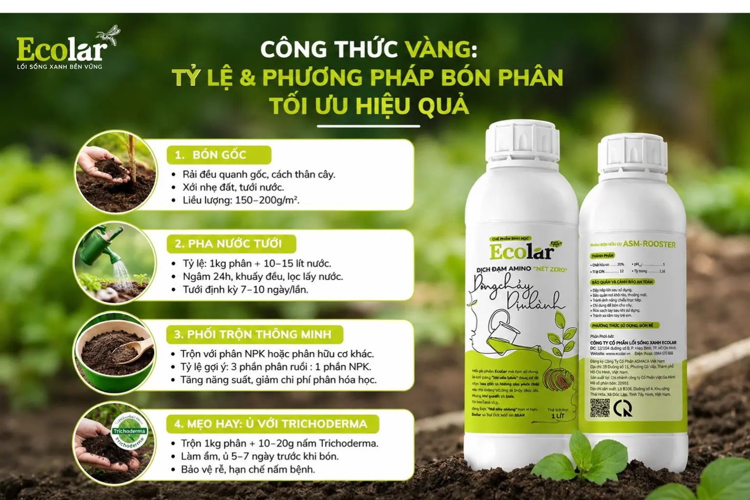 -phuong-phap-bon-phan-toi-uu-hieu-qua_51b93dfd748c4d7b956d1a2dc96a7bd1.webp