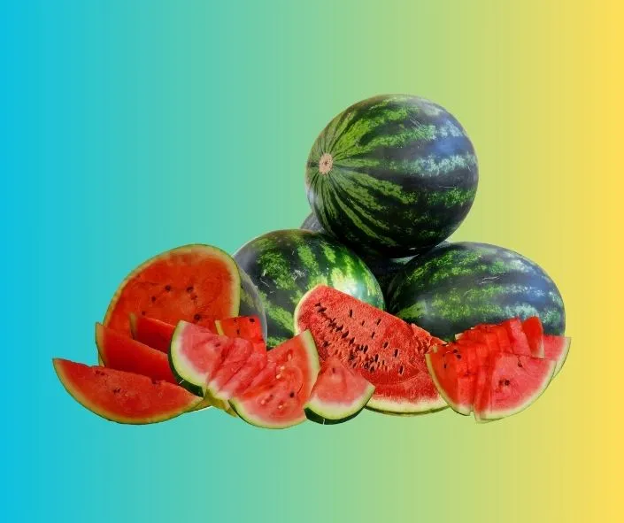 Hướng dẫn trồng dưa hấu từ A đến Z