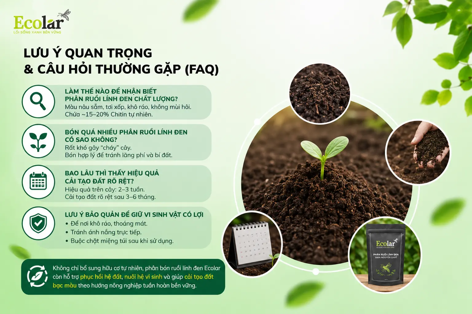 -quan-trong-va-cau-hoi-thuong-gap-faq_07f698426cd74e0298a43d392fbb8622.webp