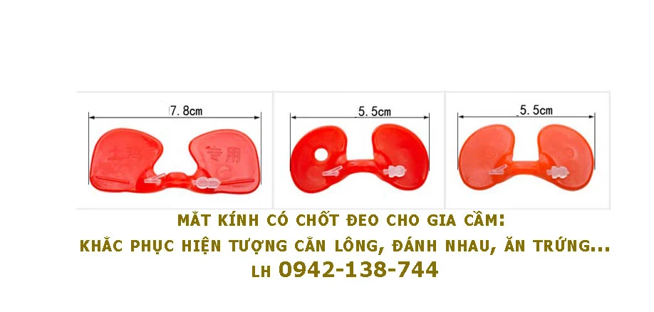 quy-cách-kich-thước-mắt-kính-có-chốt.webp
