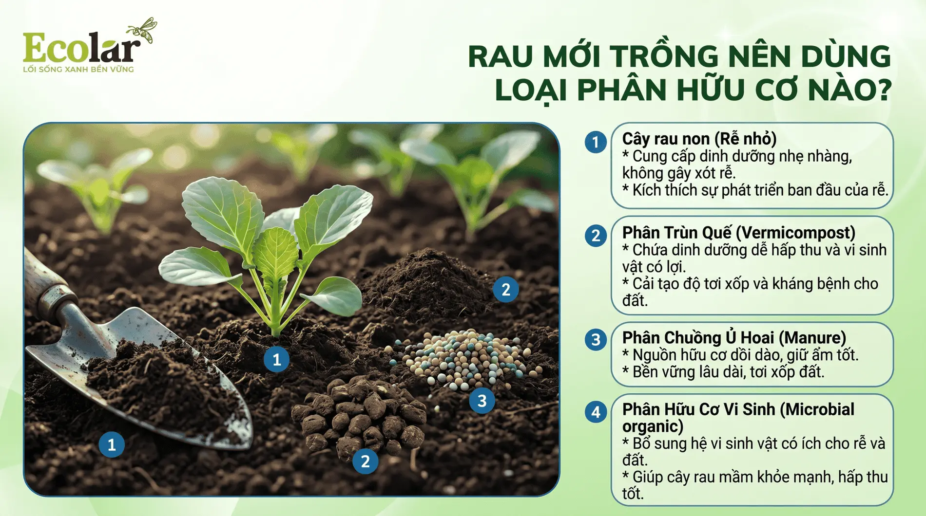 rau-moi-trong-nen-dung-loai-phan-huu-co-nao-an-toan_401fc2f678254822b388546c188f57a1.webp