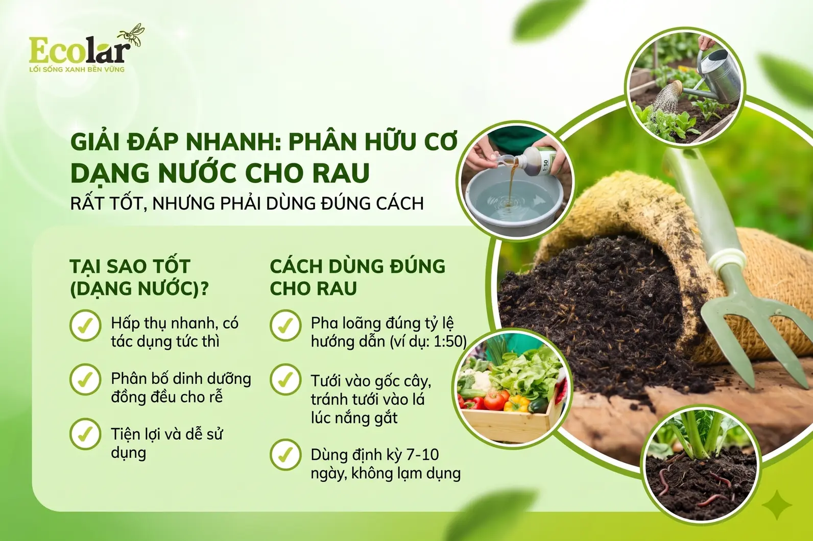 rau-rat-tot-nhung-phai-dung-dung-cach_6aa3d53c4e8e48fa82b376fba7af17bc.webp