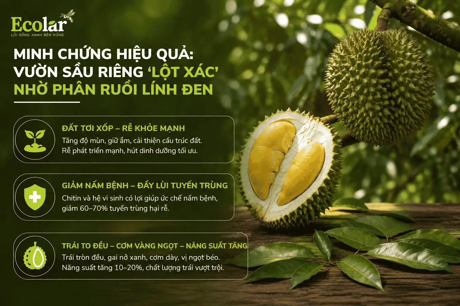 -rieng-lot-xac-nho-phan-ruoi-linh-den_c1de74431062462988c5a4e068217644 (1).webp