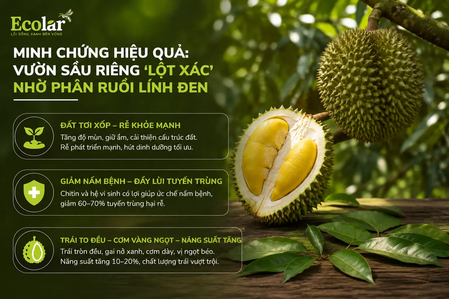 -rieng-lot-xac-nho-phan-ruoi-linh-den_c1de74431062462988c5a4e068217644.webp